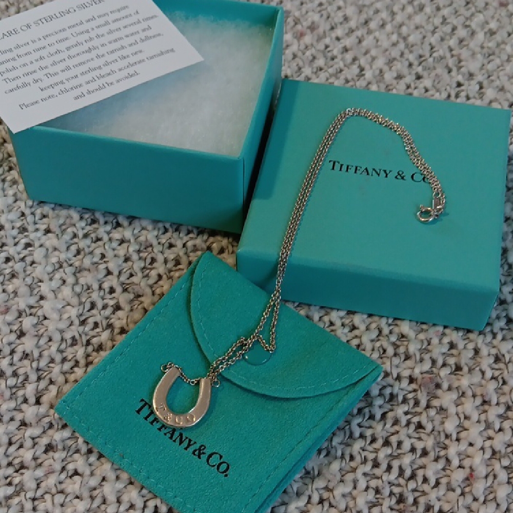 Tiffany & Co. Silver Horseshoe Necklace